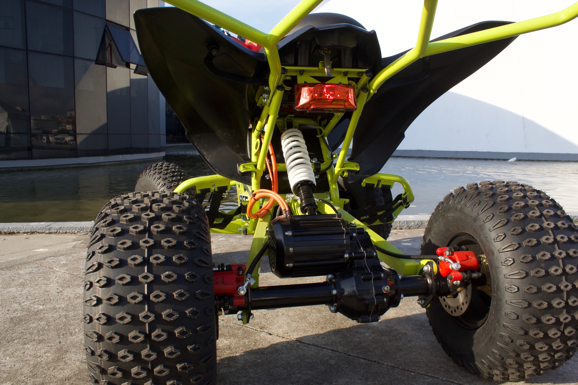 Raptor miniatura 3