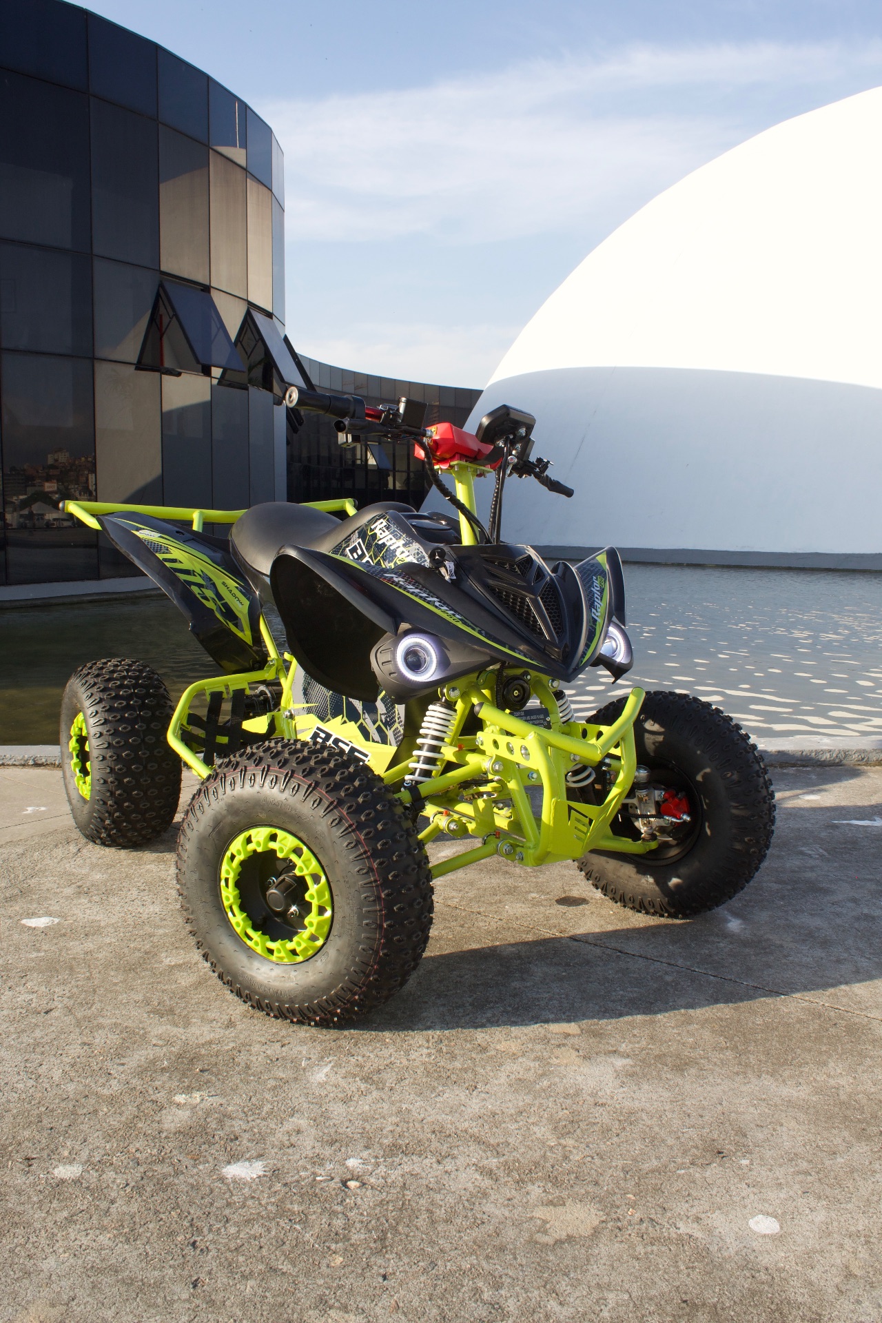 Raptor miniatura 4