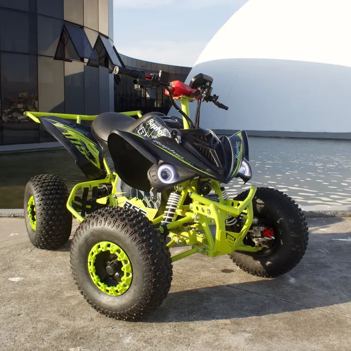 Raptor miniatura 4