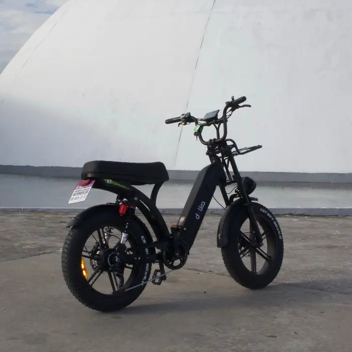 Xue 7 miniatura 6