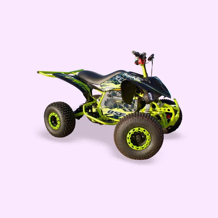 Raptor miniatura 1